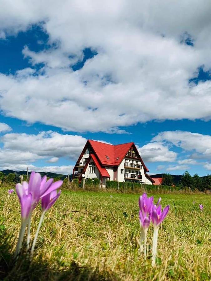 Pensiunea Perla Neamtului Minastirea Neamt Dış mekan fotoğraf