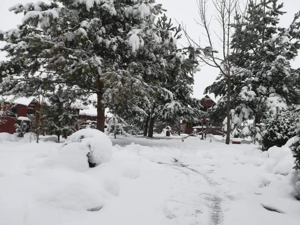 Pensiunea Perla Neamtului Minastirea Neamt Dış mekan fotoğraf